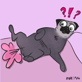 Fartpug 1