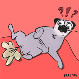 Fartpug 4